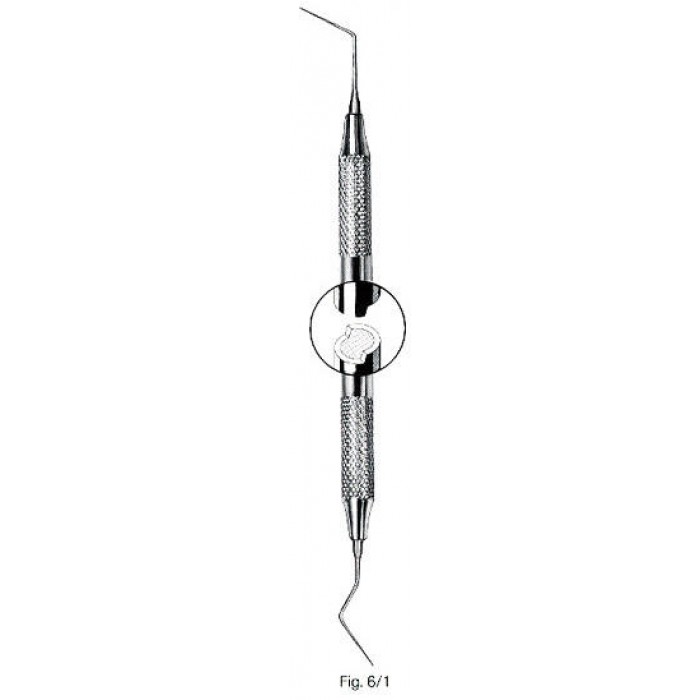 Root Canal Explorers Fig 6/1