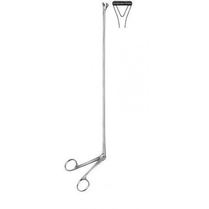 Rectal Biopsy Forceps